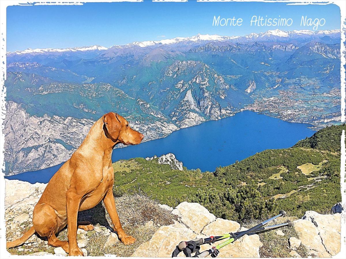 Viewlake Apartment Torbole Sul Garda Luaran gambar